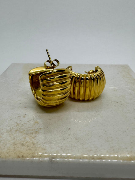 Cecilia Hoop Earrings