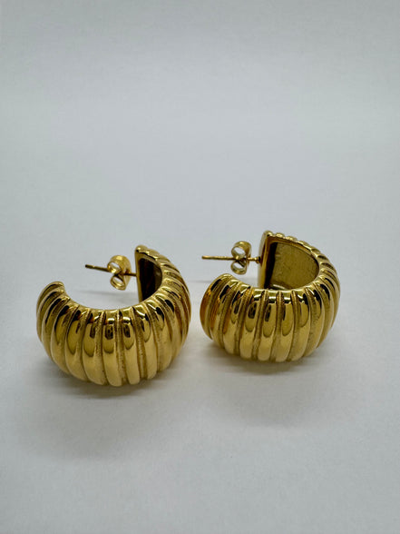 Cecilia Hoop Earrings