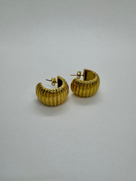 Cecilia Hoop Earrings